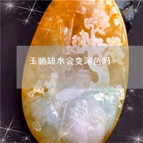 玉髓缺水会变深色吗/2023041385738