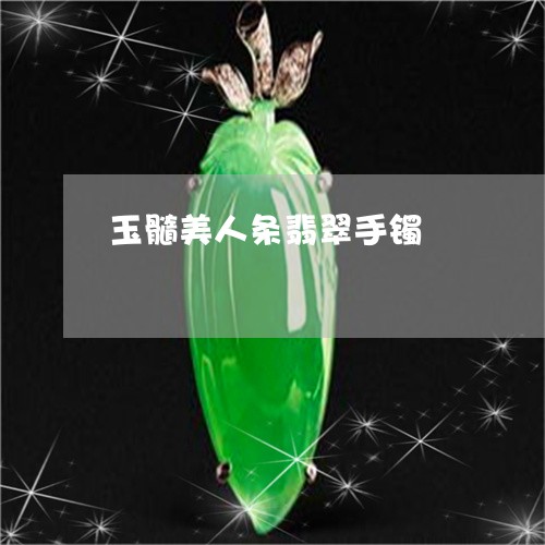 玉髓美人条翡翠手镯/2023041331713
