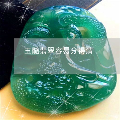 玉髓翡翠容易分得清/2023041395726