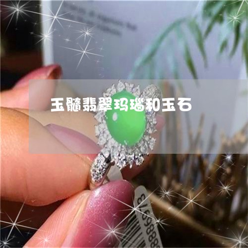玉髓翡翠玛瑙和玉石/2023041382623