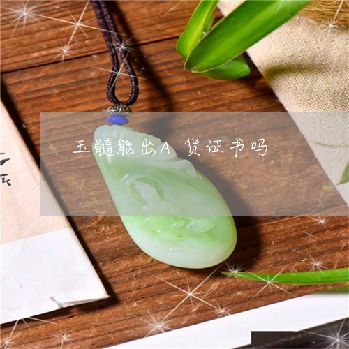 玉髓能出A货证书吗/2023041306150