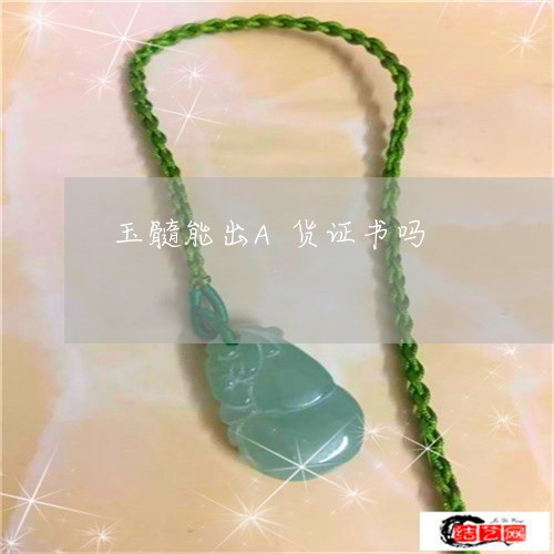 玉髓能出A货证书吗/2023041351725