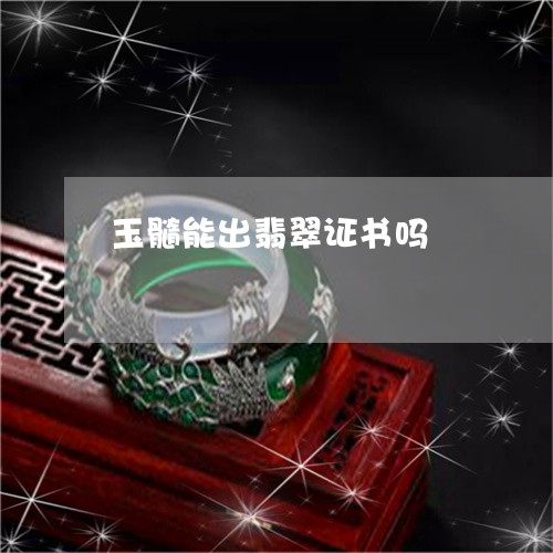 玉髓能出翡翠证书吗/2023041383725