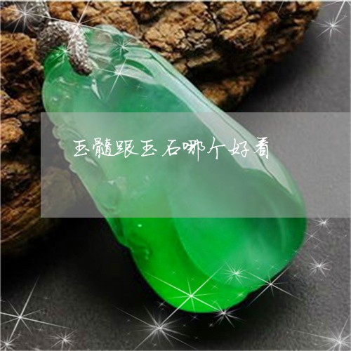 玉髓跟玉石哪个好看/2023041327161