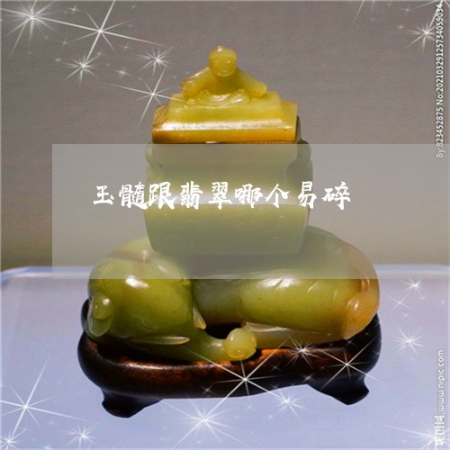 玉髓跟翡翠哪个易碎/2023041348461
