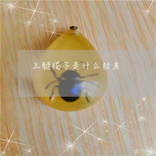 玉髓镯子是什么材质/2023041317060 玉髓镯子是什么材质/2023041317060
