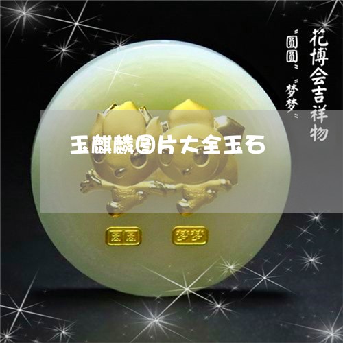 玉麒麟图片大全玉石/2023041398262 玉麒麟图片大全玉石/2023041398262