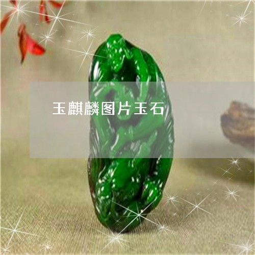 玉麒麟图片玉石/2023033090937