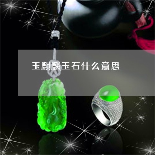 玉麒麟玉石什么意思/2023041320715