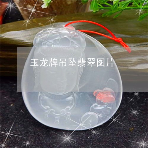 玉龙牌吊坠翡翠图片/2023041372592