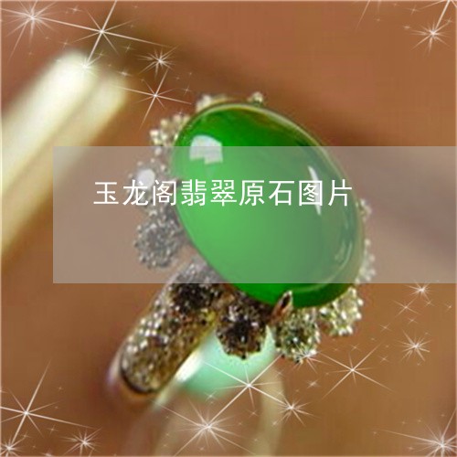 玉龙阁翡翠原石图片/2023041359603