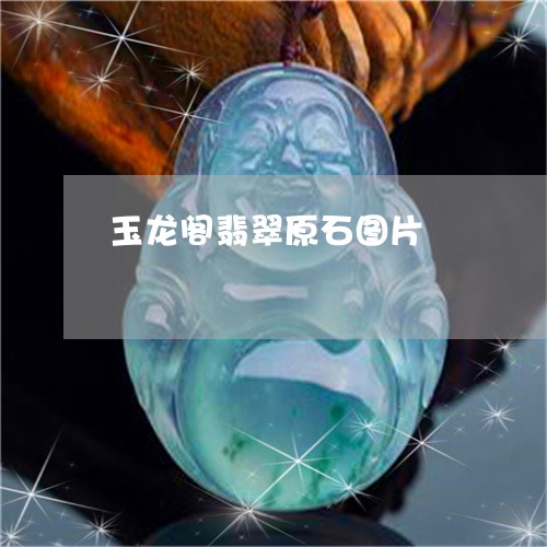 玉龙阁翡翠原石图片/2023041394604