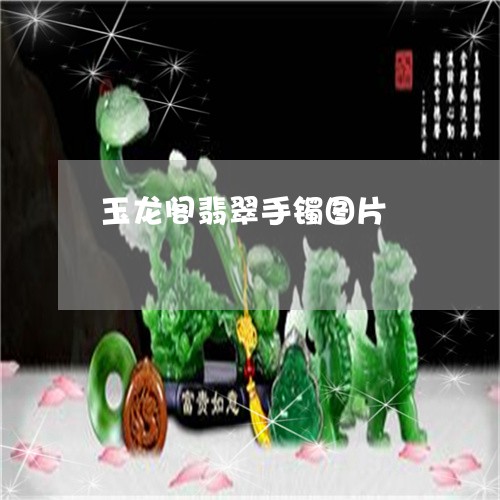玉龙阁翡翠手镯图片/2023041338251