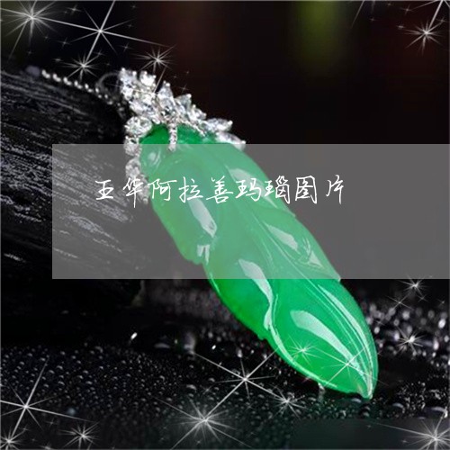 王华阿拉善玛瑙图片/2023041372919