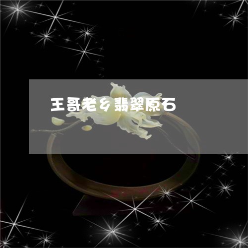 王哥老乡翡翠原石/2023031752037