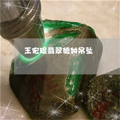 王宏琨翡翠貔貅吊坠/2023041327247 王宏琨翡翠貔貅吊坠/2023041327247