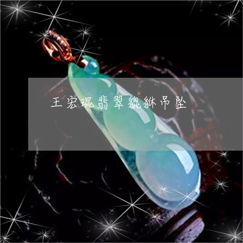 王宏琨翡翠貔貅吊坠/2023041381613 王宏琨翡翠貔貅吊坠/2023041381613