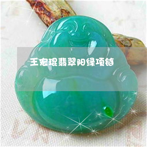 王宏琨翡翠阳绿项链/2023041341382 王宏琨翡翠阳绿项链/2023041341382