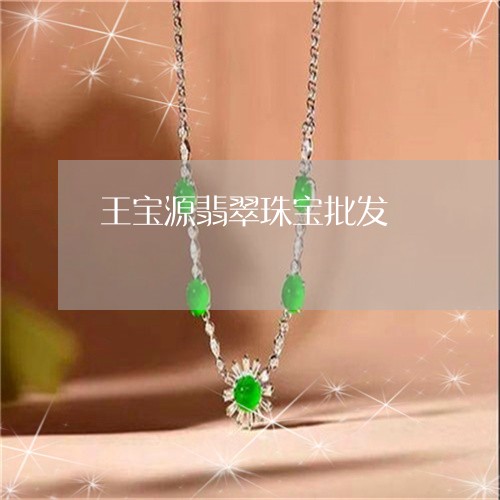王宝源翡翠珠宝批发/2023041396058