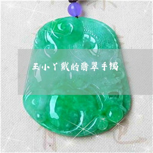 王小丫戴的翡翠手镯/2023041320391