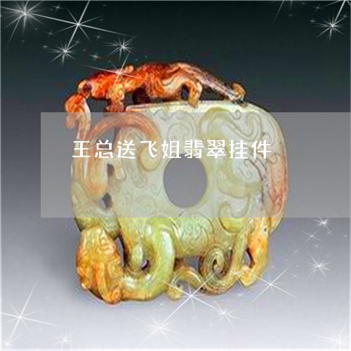 王总送飞姐翡翠挂件/2023041305128