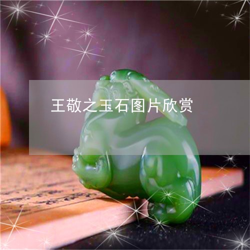 王敬之玉石图片欣赏/2023041329371