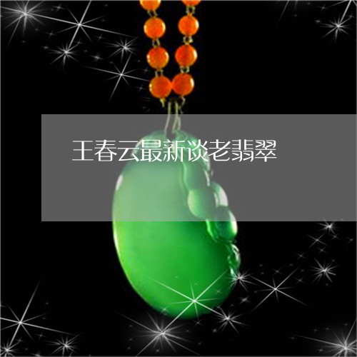 王春云最新谈老翡翠/2023041364804