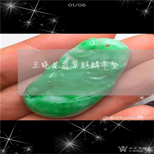 王晓龙翡翠麒麟吊坠/2023041331716