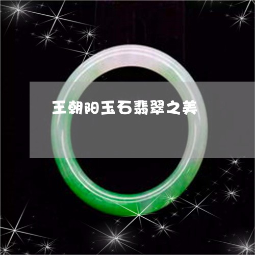 王朝阳玉石翡翠之美/2023041361481 王朝阳玉石翡翠之美/2023041361481