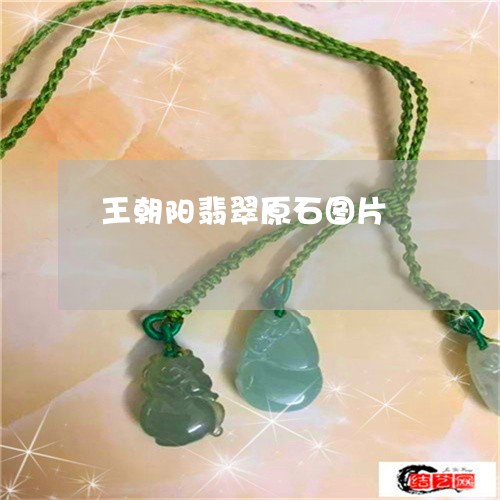 王朝阳翡翠原石图片/2023041361705