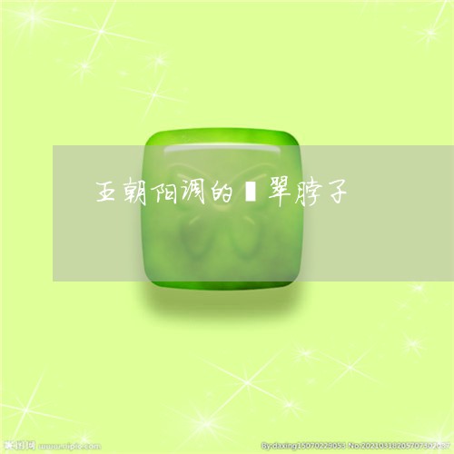 王朝阳调的翡翠脖子/2023041343938 王朝阳调的翡翠脖子/2023041343938