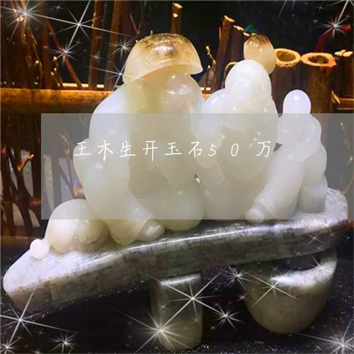 王木生开玉石50万/2023041371706 王木生开玉石50万/2023041371706