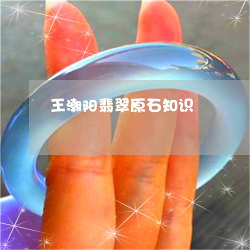 王潮阳翡翠原石知识/2023041359381