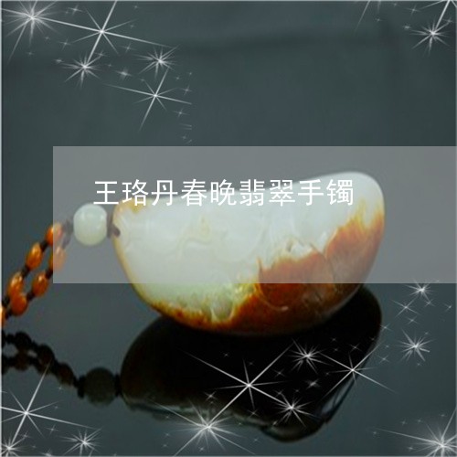 王珞丹春晚翡翠手镯/2023041327059 王珞丹春晚翡翠手镯/2023041327059