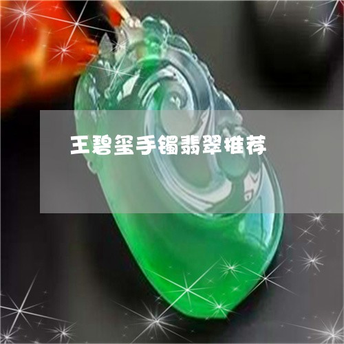 王碧玺手镯翡翠推荐/2023041329359