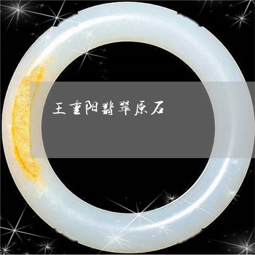王重阳翡翠原石/2023033050485