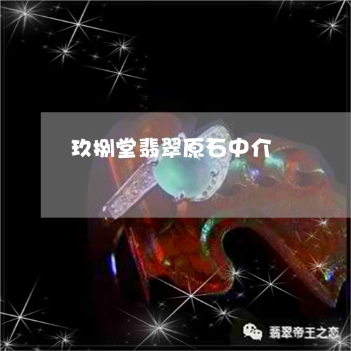 玖捌堂翡翠原石中介/2023041364847