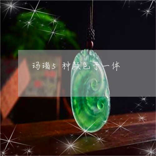玛瑙5种颜色于一体/2023041348161