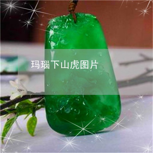 玛瑙下山虎图片/2023033079282 玛瑙下山虎图片/2023033079282
