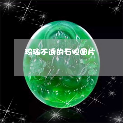玛瑙不透的石胆图片/2023041361604