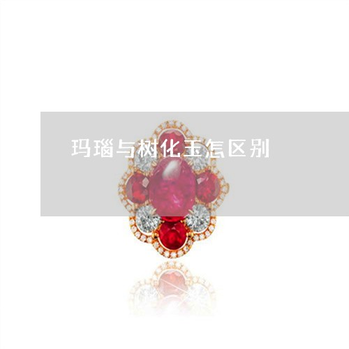 玛瑙与树化玉怎区别/2023041320471