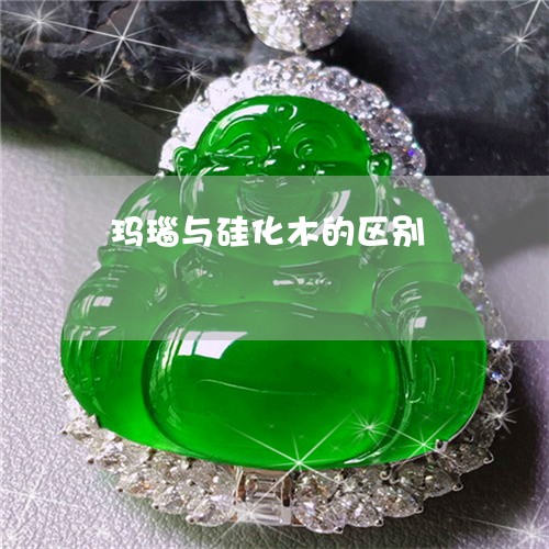 玛瑙与硅化木的区别/2023041359583 玛瑙与硅化木的区别/2023041359583