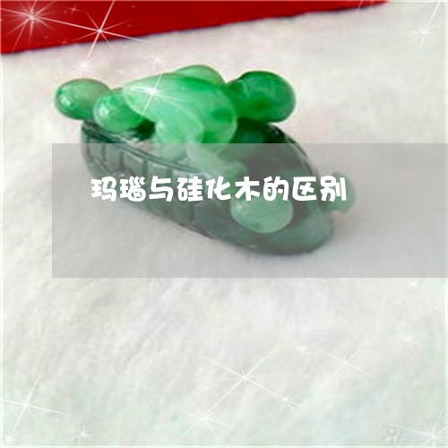 玛瑙与硅化木的区别/2023041364724 玛瑙与硅化木的区别/2023041364724