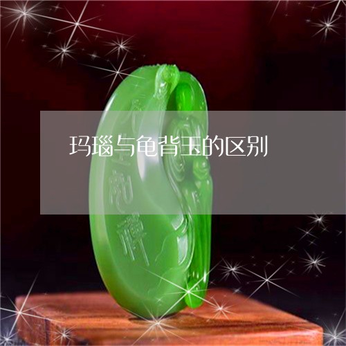 玛瑙与龟背玉的区别/2023041339370