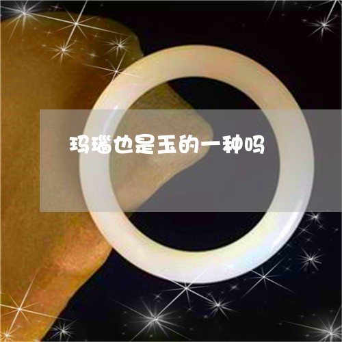 玛瑙也是玉的一种吗/2023041391817