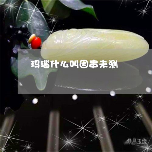 玛瑙什么叫因串未测/2023041306029