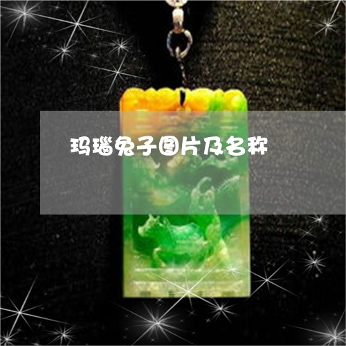 玛瑙兔子图片及名称/2023041363858 玛瑙兔子图片及名称/2023041363858