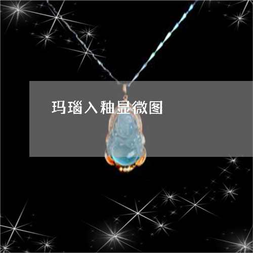 玛瑙入釉显微图/2023033039806 玛瑙入釉显微图/2023033039806