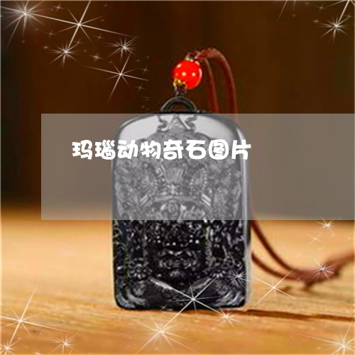 玛瑙动物奇石图片/2023031796150 玛瑙动物奇石图片/2023031796150