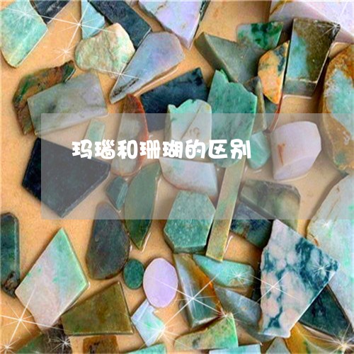 玛瑙和珊瑚的区别/2023031742605